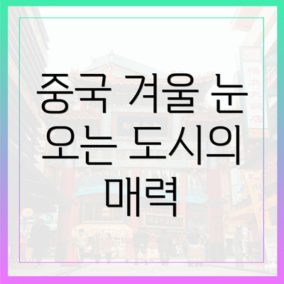 중국 겨울 눈 오는 도시의 매력