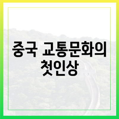 중국 교통문화의 첫인상