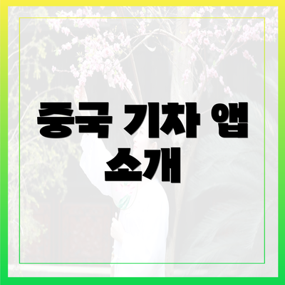 중국 기차 앱 소개
