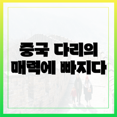 중국 다리의 매력에 빠지다
