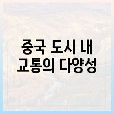 중국 도시 내 교통의 다양성