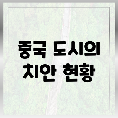 중국 도시의 치안 현황