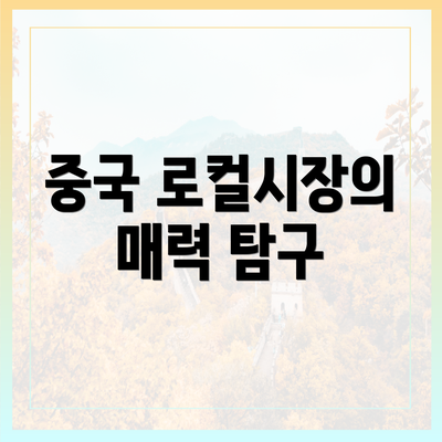 중국 로컬시장의 매력 탐구