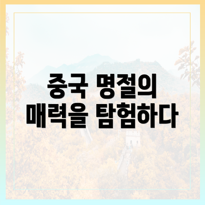 중국 명절의 매력을 탐험하다