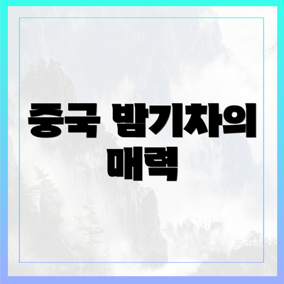 중국 밤기차의 매력