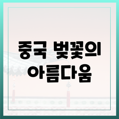 중국 벚꽃의 아름다움