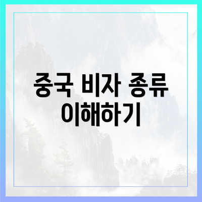 중국 비자 종류 이해하기
