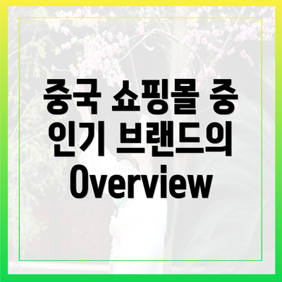중국 쇼핑몰 중 인기 브랜드의 Overview