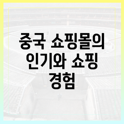 중국 쇼핑몰의 인기와 쇼핑 경험