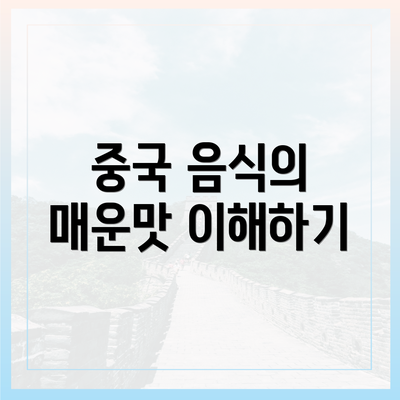 중국 음식의 매운맛 이해하기