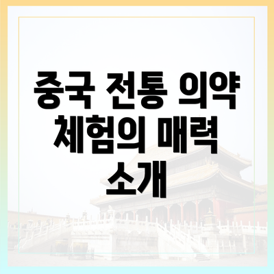 중국 전통 의약 체험의 매력 소개
