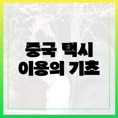 중국 택시 이용의 기초