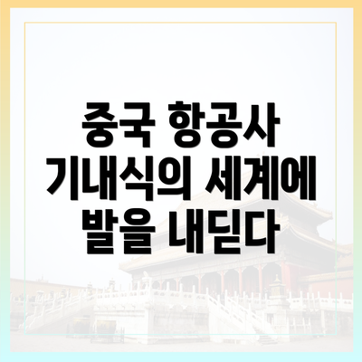 중국 항공사 기내식의 세계에 발을 내딛다