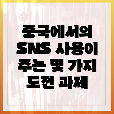 중국에서의 SNS 사용이 주는 몇 가지 도전 과제