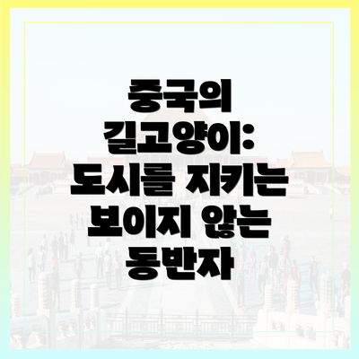중국의 길고양이: 도시를 지키는 보이지 않는 동반자