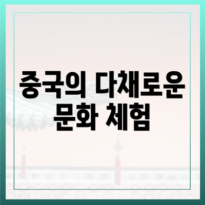 중국의 다채로운 문화 체험