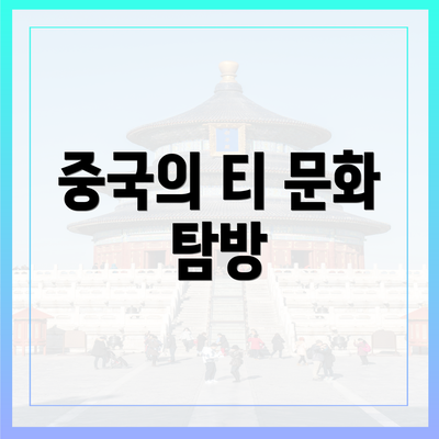 중국의 티 문화 탐방