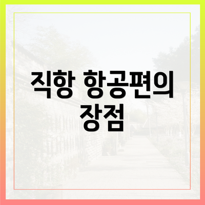 직항 항공편의 장점