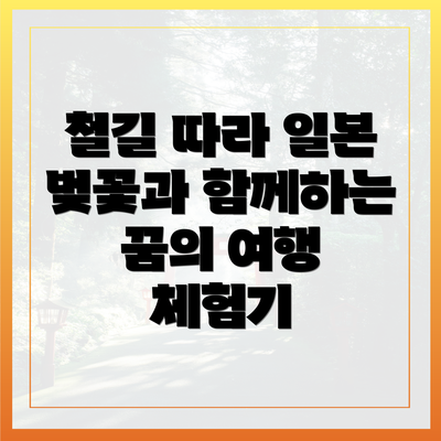 철길 따라 일본 벚꽃과 함께하는 꿈의 여행 체험기