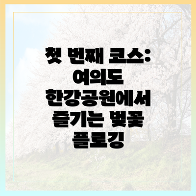 첫 번째 코스: 여의도 한강공원에서 즐기는 벚꽃 플로깅