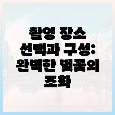 촬영 장소 선택과 구성: 완벽한 벚꽃의 조화