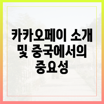 카카오페이 소개 및 중국에서의 중요성