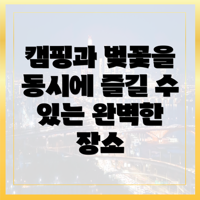 캠핑과 벚꽃을 동시에 즐길 수 있는 완벽한 장소