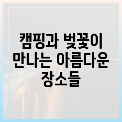 캠핑과 벚꽃이 만나는 아름다운 장소들