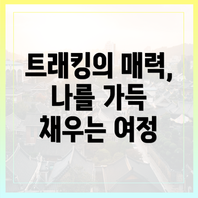 트래킹의 매력, 나를 가득 채우는 여정