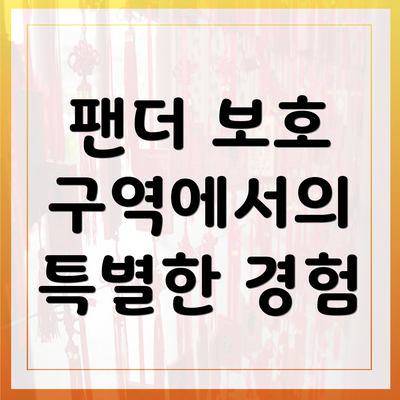 팬더 보호 구역에서의 특별한 경험