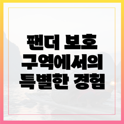 팬더 보호 구역에서의 특별한 경험