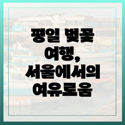 평일 벚꽃 여행, 서울에서의 여유로움