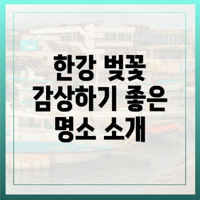 한강 벚꽃 감상하기 좋은 명소 소개