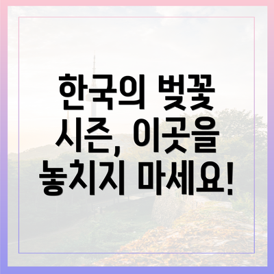 한국의 벚꽃 시즌, 이곳을 놓치지 마세요!