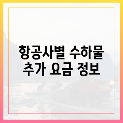 항공사별 수하물 추가 요금 정보
