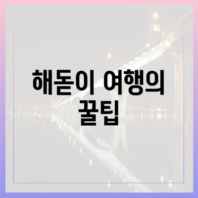 해돋이 여행의 꿀팁