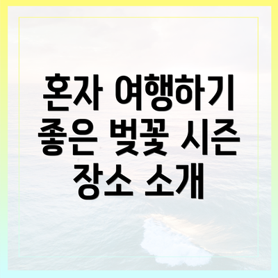 혼자 여행하기 좋은 벚꽃 시즌 장소 소개