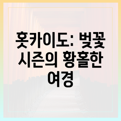 홋카이도: 벚꽃 시즌의 황홀한 여경