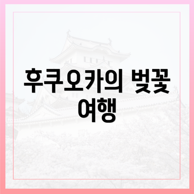 후쿠오카의 벚꽃 여행