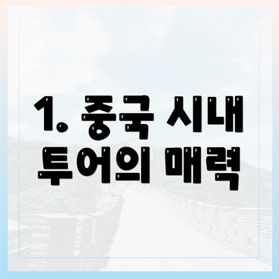 1. 중국 시내 투어의 매력