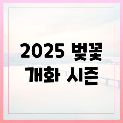 2025 벚꽃 개화 시즌