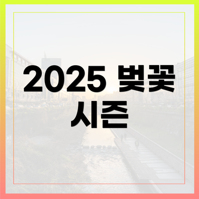 2025 벚꽃 시즌