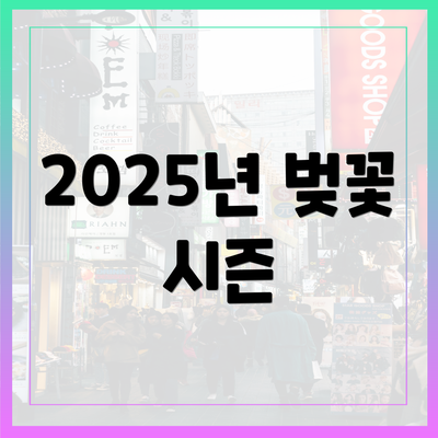 2025년 벚꽃 시즌