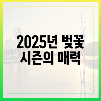 2025년 벚꽃 시즌의 매력