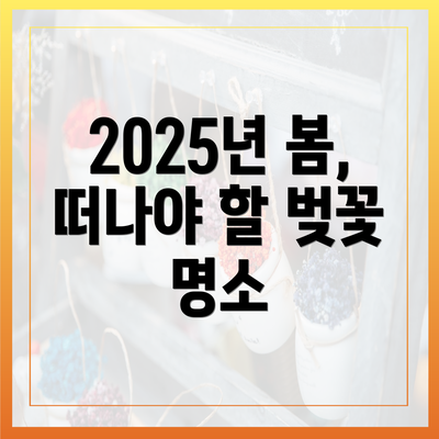2025년 봄, 떠나야 할 벚꽃 명소