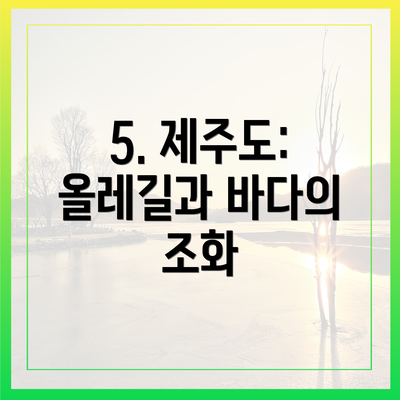 5. 제주도: 올레길과 바다의 조화