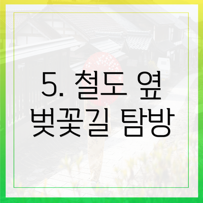5. 철도 옆 벚꽃길 탐방
