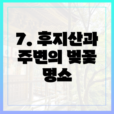 7. 후지산과 주변의 벚꽃 명소