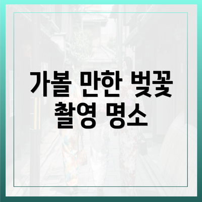 가볼 만한 벚꽃 촬영 명소