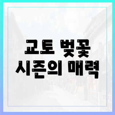 교토 벚꽃 시즌의 매력